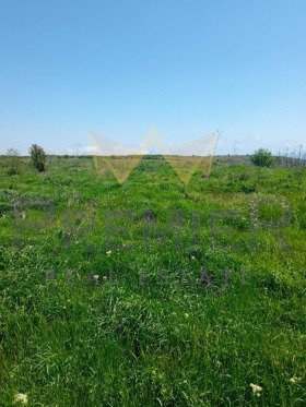 ����� ������� ������,�. ������� ������������, ������ �����>