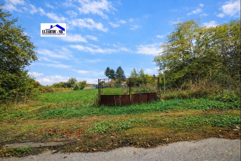 Продава ПАРЦЕЛ, с. Паскалево, област Добрич, снимка 2 - Парцели - 53022689