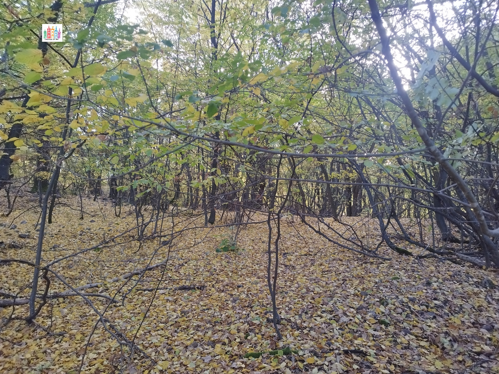 Продава ПАРЦЕЛ, с. Боснек, област Перник, снимка 12 - Парцели - 56508272