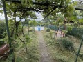 Продава КЪЩА, с. Дворище, област Кюстендил, снимка 2