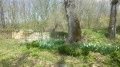 Продава ПАРЦЕЛ, с. Боженците, област Габрово, снимка 5
