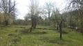 Продава ПАРЦЕЛ, с. Боженците, област Габрово, снимка 12