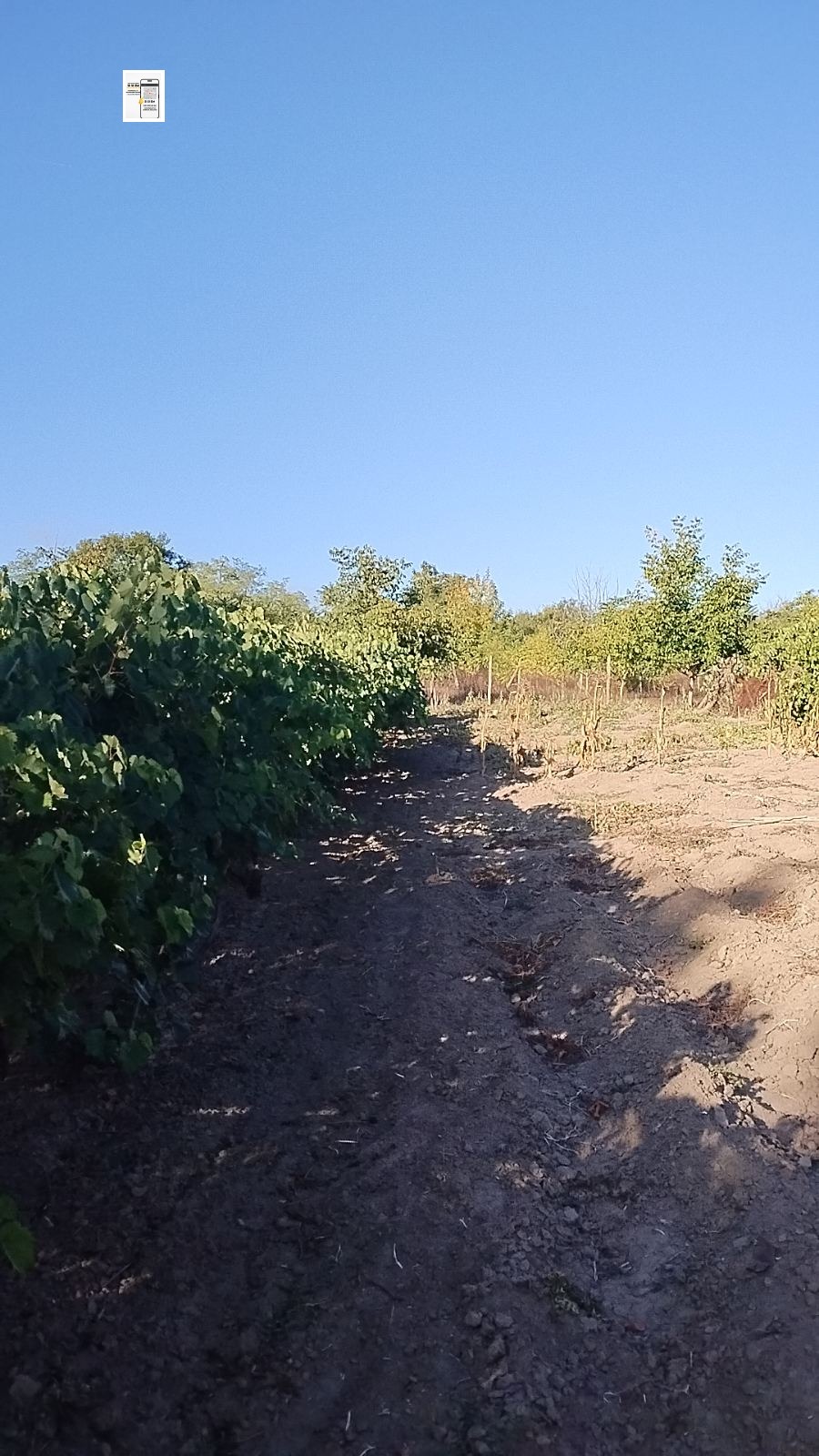 ������� ���� | Imot.bg � ����������� 4