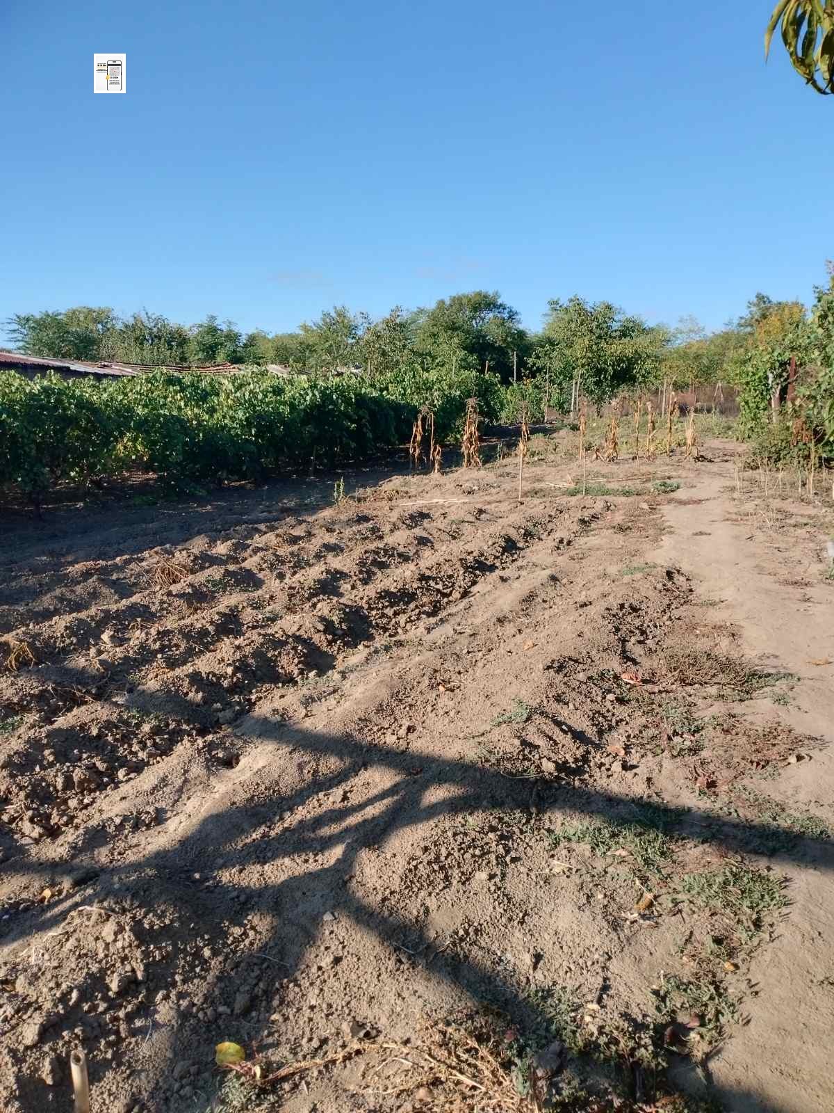 ������� ���� | Imot.bg � ����������� 3