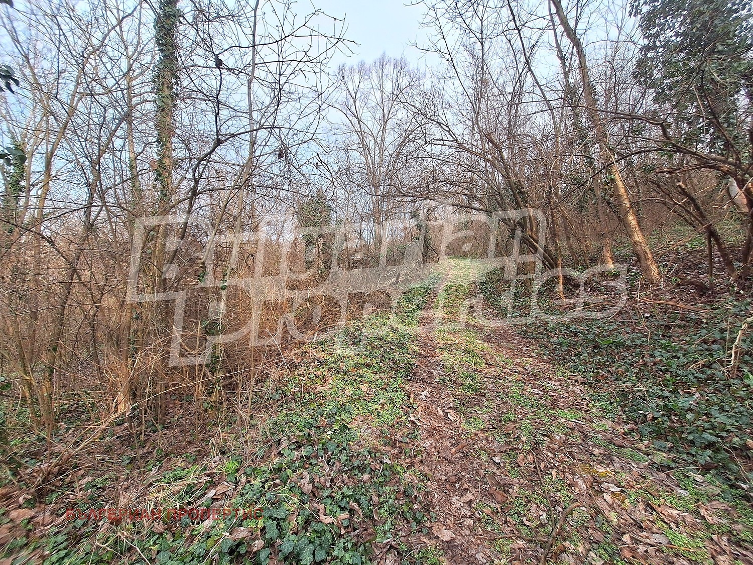 ������� ������ | Imot.bg � ����������� 3