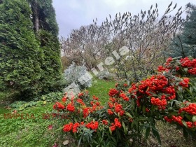 ������ ������� 2-�����