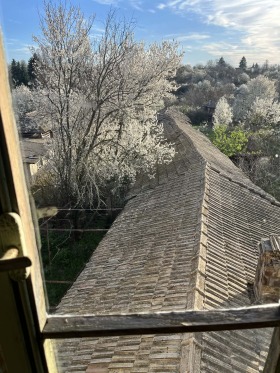 ������� ���� | Imot.bg � ����� ������ 17