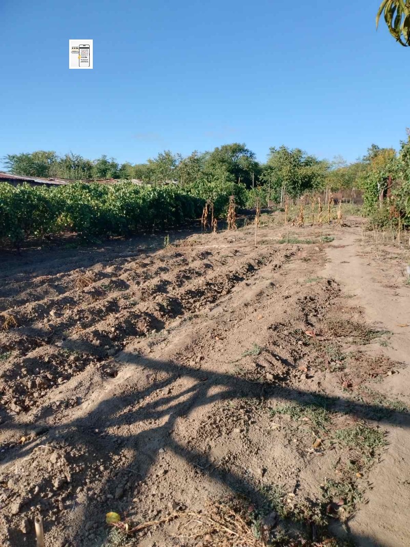 Продава КЪЩА, с. Сноп, област Добрич, снимка 2 - Къщи - 53033664