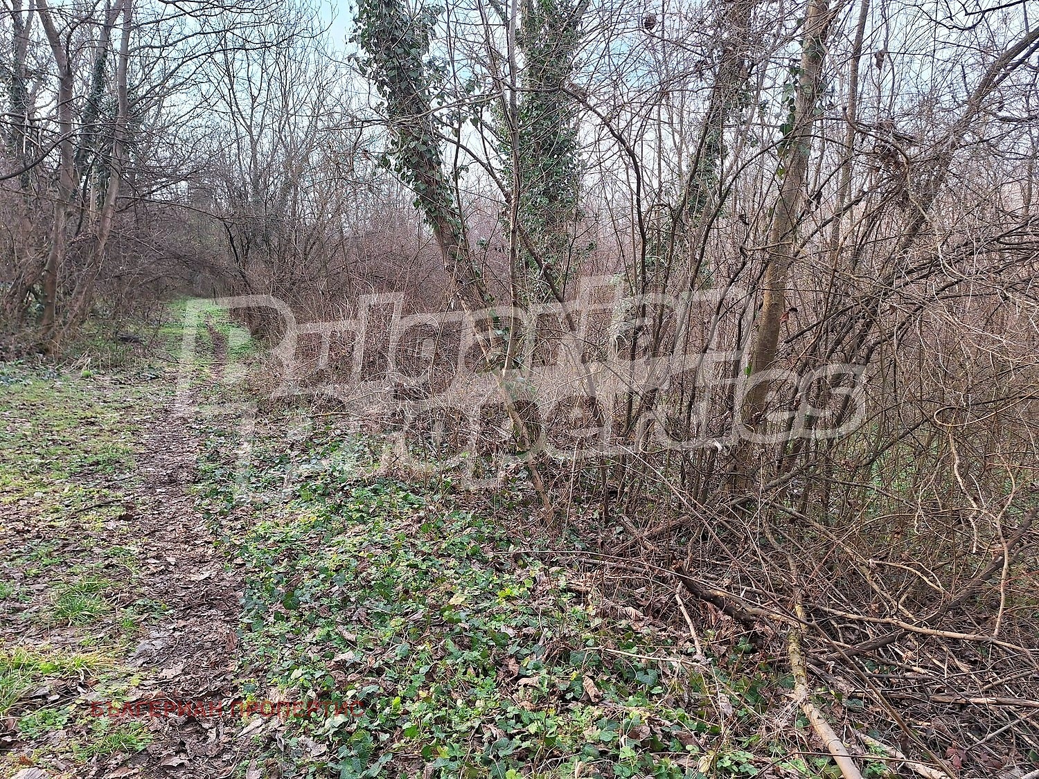 Продава ПАРЦЕЛ, гр. Велико Търново, Зона Б, снимка 2 - Парцели - 53809007