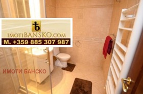 1 bedroom Bansko, region Blagoevgrad 13