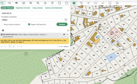 ����� ������� ������,�. �����������, ������ �����