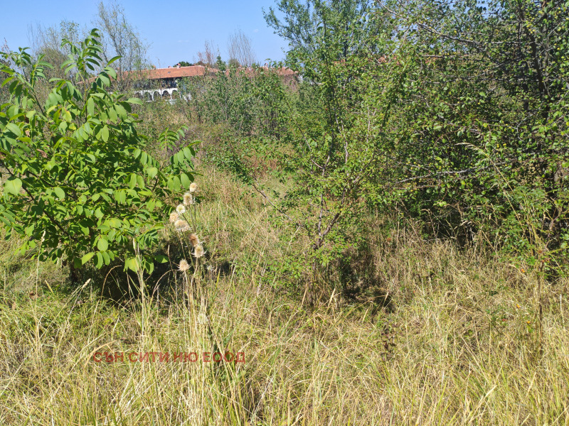 For Sale  Plot Sofia , Lozen , 3960 sq.m | 32578123