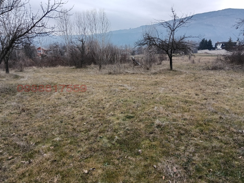 Продава ЗЕМЕДЕЛСКА ЗЕМЯ, с. Жиленци, област Кюстендил, снимка 3 - Земеделска земя - 53173446