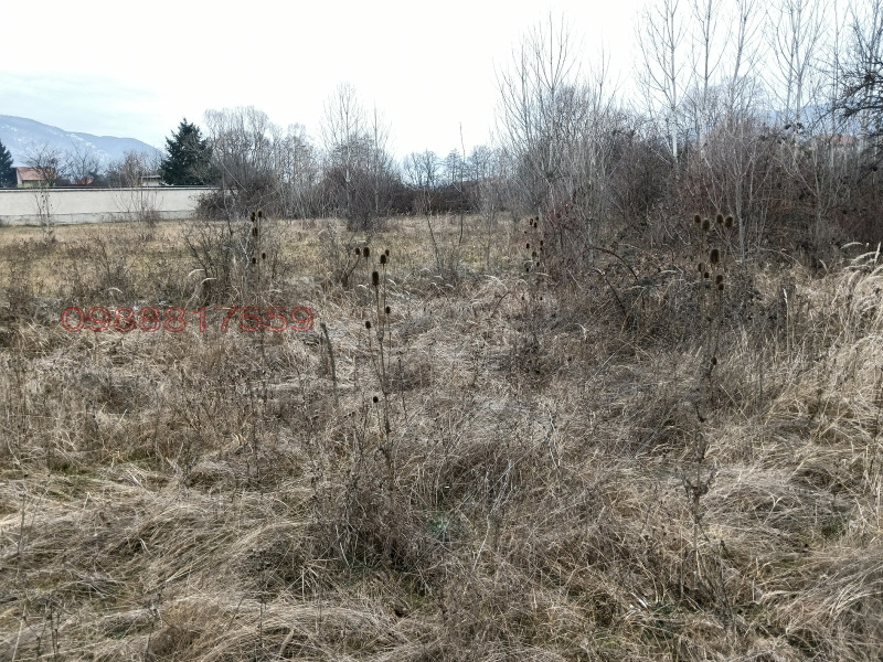 Продава ЗЕМЕДЕЛСКА ЗЕМЯ, с. Жиленци, област Кюстендил, снимка 5 - Земеделска земя - 53173446