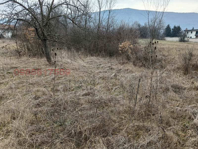 Продава ЗЕМЕДЕЛСКА ЗЕМЯ, с. Жиленци, област Кюстендил, снимка 4 - Земеделска земя - 53173446