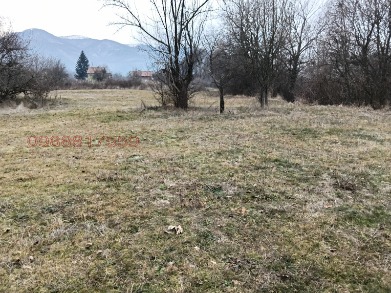 Продава ЗЕМЕДЕЛСКА ЗЕМЯ, с. Жиленци, област Кюстендил, снимка 2 - Земеделска земя - 53173446