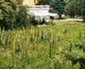 Продава ПАРЦЕЛ, гр. Перник, Изток, снимка 2