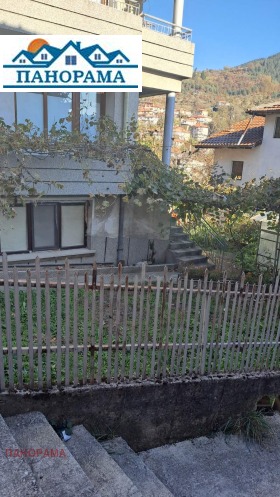 ����� ������� ����,���� ������, ������