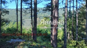 ������� ������ | Imot.bg � ����� ������ 8