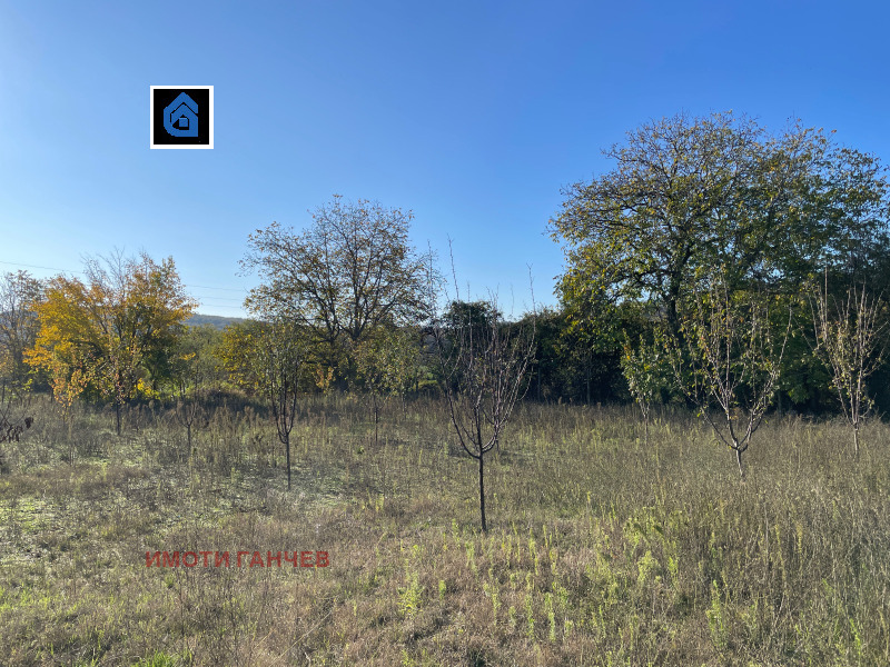 Продава ПАРЦЕЛ, с. Богомилово, област Стара Загора, снимка 2 - Парцели - 53060538