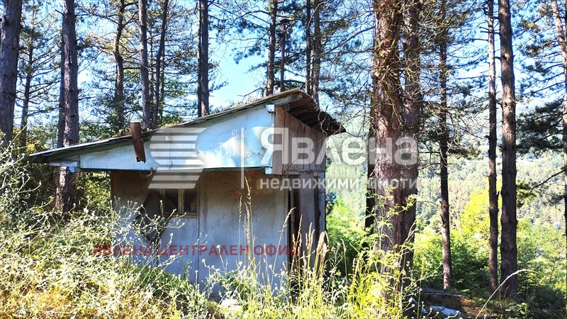 Продава ПАРЦЕЛ, с. Владо Тричков, област София област, снимка 3 - Парцели - 54103264