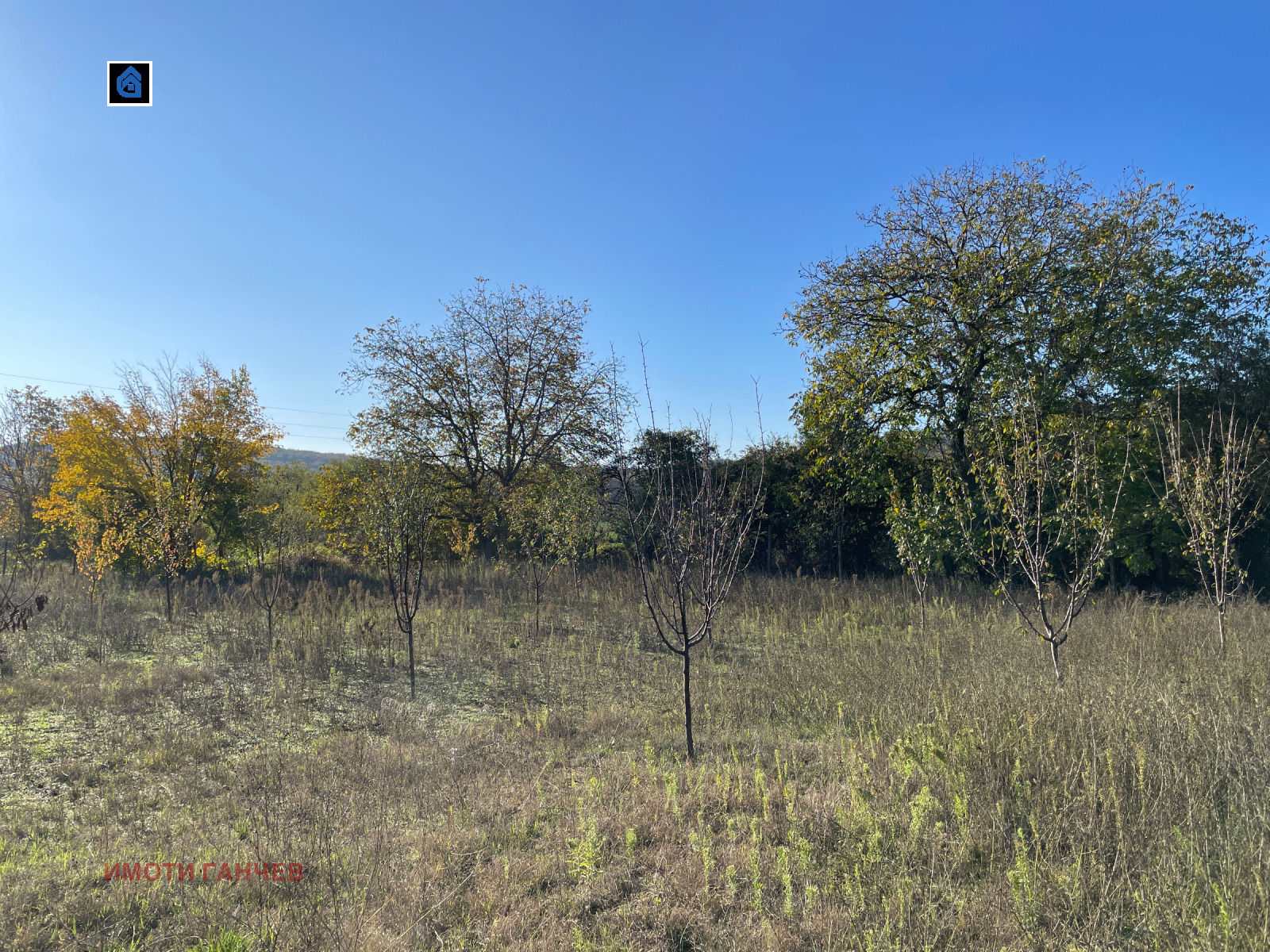 Продава ПАРЦЕЛ, с. Богомилово, област Стара Загора, снимка 2 - Парцели - 53060538