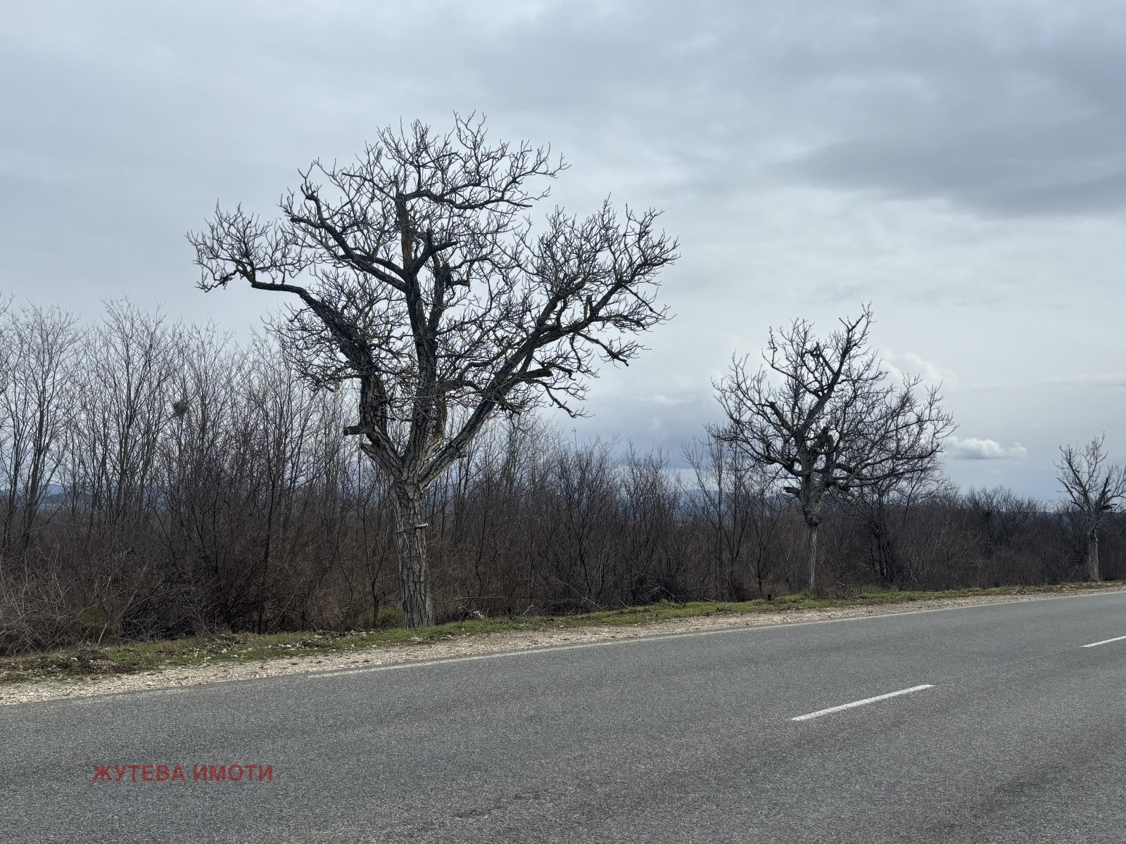 ������� ������ | Imot.bg � ����������� 2