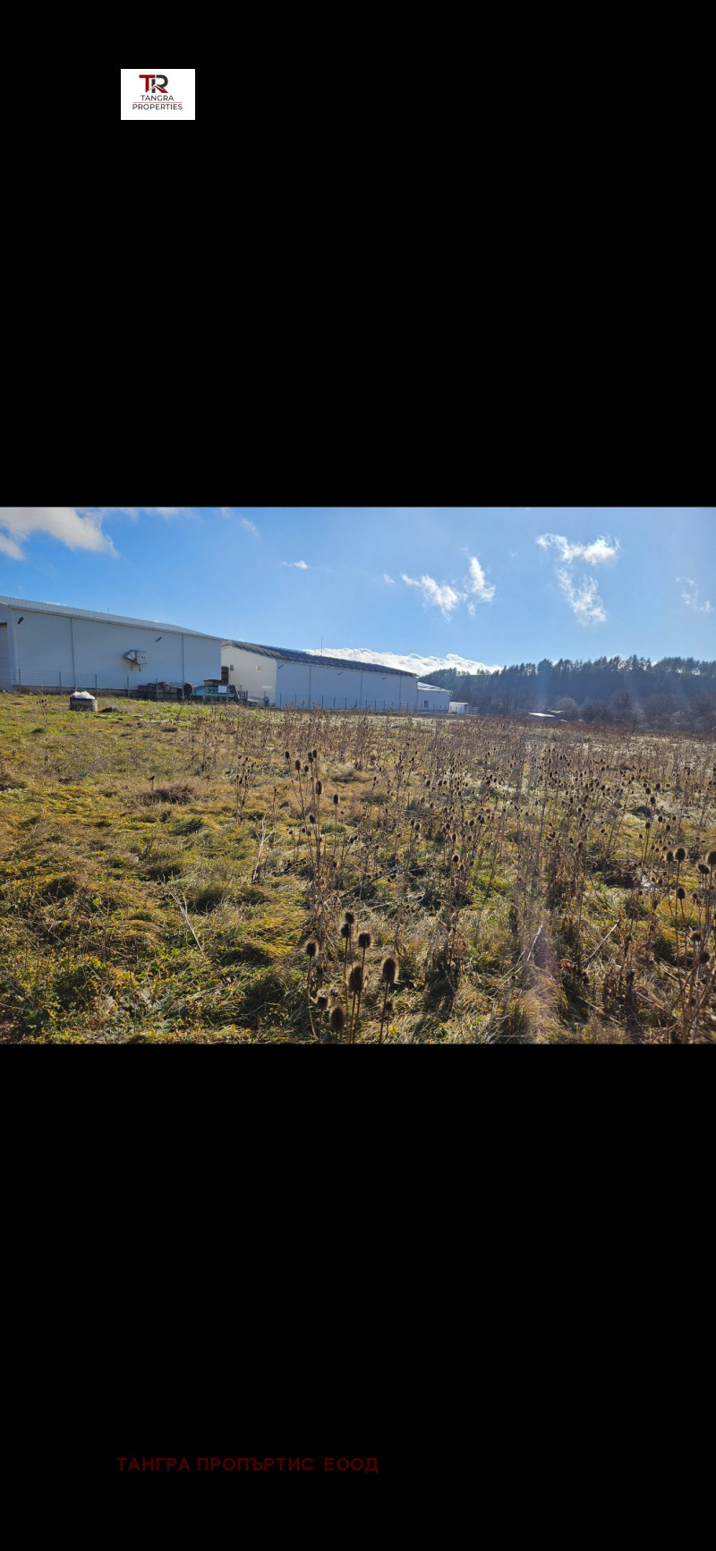 Zu verkaufen  Handlung region Pernik , Dolna Dikanja , 4799 qm | 81145208 - Bild [4]