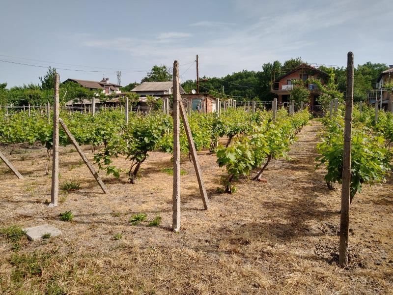 ������� ���� | Imot.bg � ����������� 5