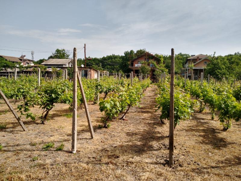 ������� ���� | Imot.bg � ����������� 1