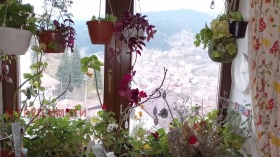 ������� ���� | Imot.bg � ����� ������ 13