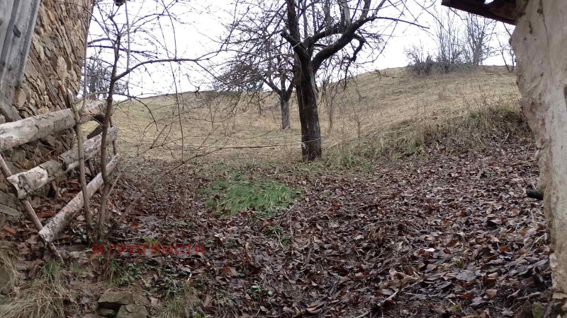 Продава КЪЩА, гр. Чепеларе, област Смолян, снимка 15 - Къщи - 52295156