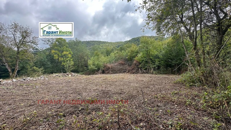 For Sale  Plot region Gabrovo , Stomanetsite , 655 sq.m | 26629013