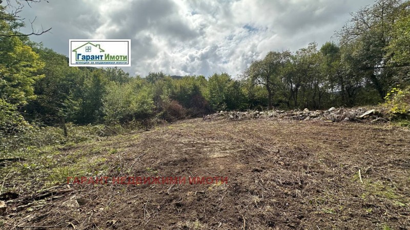 For Sale  Plot region Gabrovo , Stomanetsite , 655 sq.m | 26629013 - image [4]