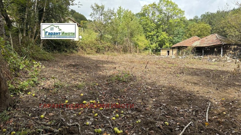 For Sale  Plot region Gabrovo , Stomanetsite , 655 sq.m | 26629013 - image [2]