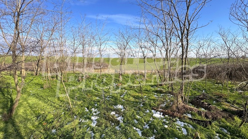 Продава КЪЩА, с. Димитриево, област Стара Загора, снимка 16 - Къщи - 53185175