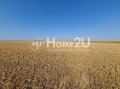 Продава ПАРЦЕЛ, област Добрич, с. Крапец • 300000 € • 21055452 3