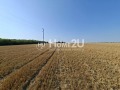 Продава ПАРЦЕЛ, област Добрич, с. Крапец • 300000 € • 21055452 5