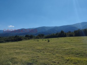 ����� ������� ������,�. ����������, ������ ���������