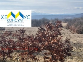 ������� ���������� ���� | Imot.bg � ����� ������ 4