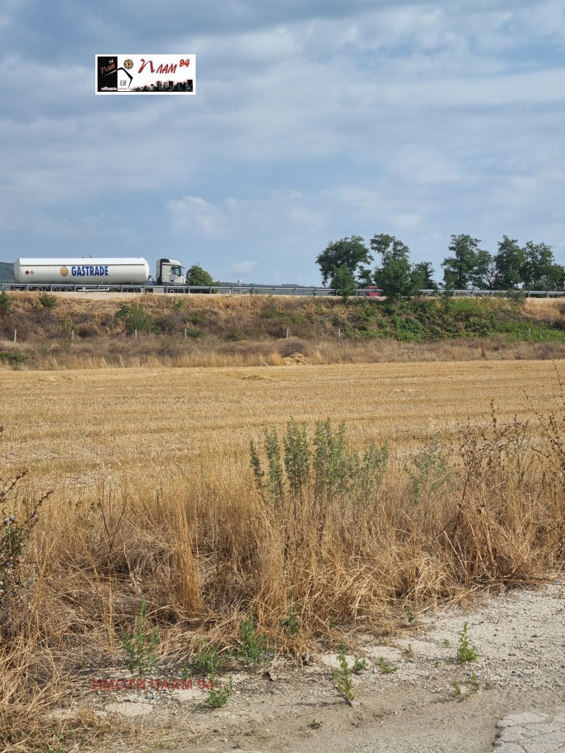 En venta  Trama región Varna , Ignatievo , 2377 metros cuadrados | 23067843 - imagen [4]