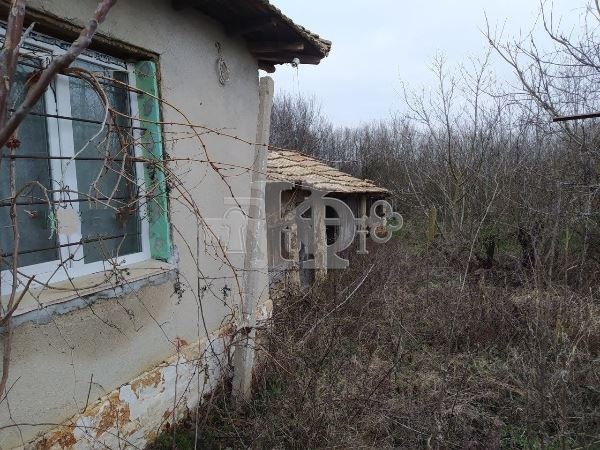 Til salg  Grund region Varna , Metlichina , 4900 kvm | 68478990 - billede [2]