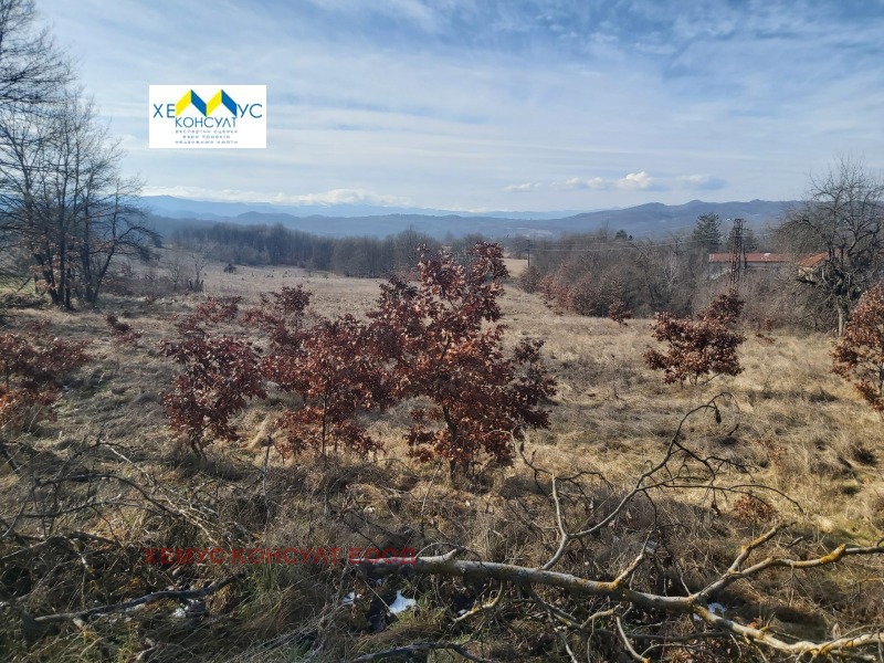 Продава ЗЕМЕДЕЛСКА ЗЕМЯ, с. Гумощник, област Ловеч, снимка 2 - Земеделска земя - 53506493