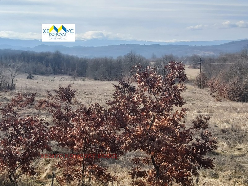 Продава ЗЕМЕДЕЛСКА ЗЕМЯ, с. Гумощник, област Ловеч, снимка 4 - Земеделска земя - 53506493