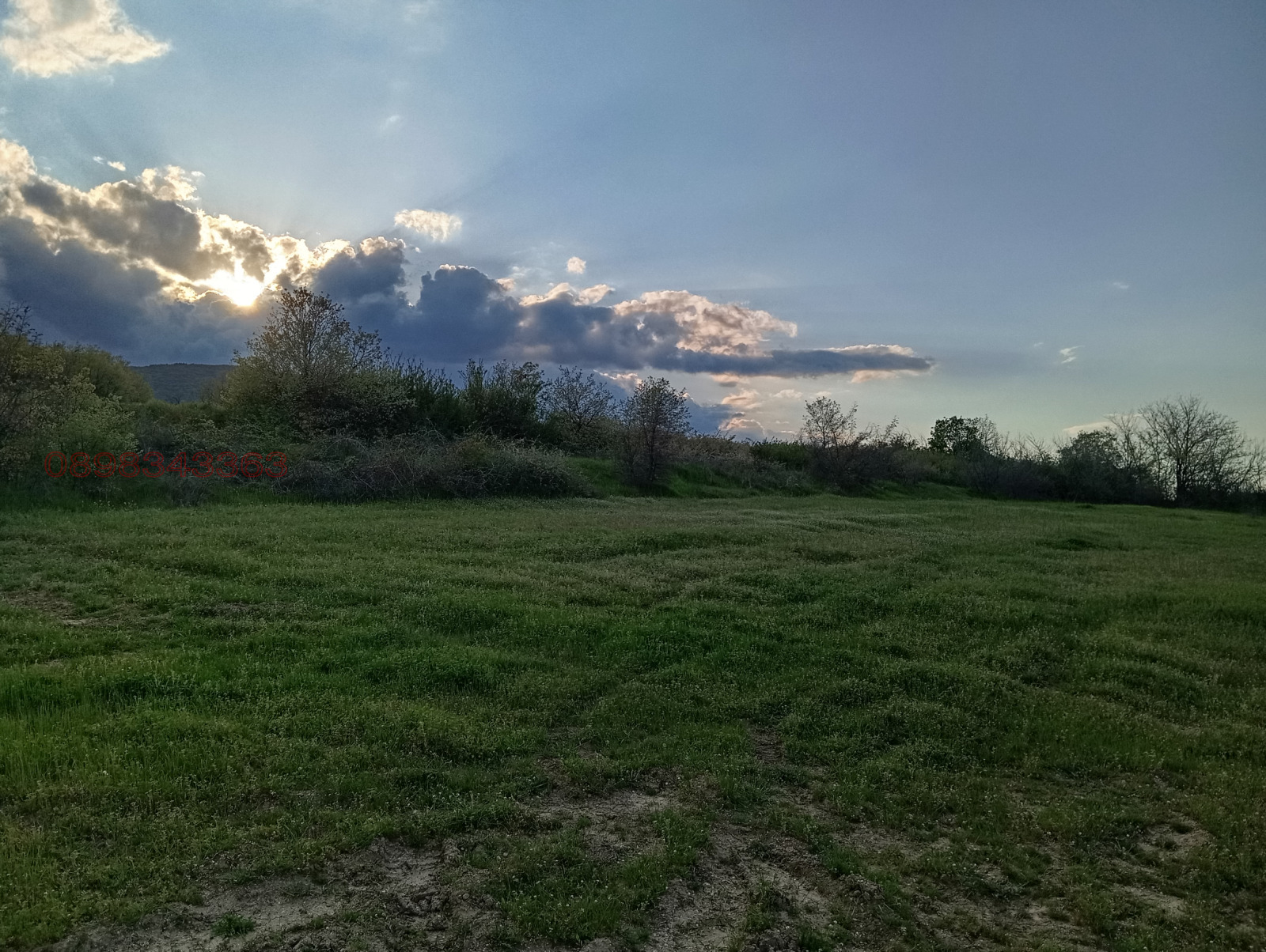 Продава ПАРЦЕЛ, с. Паталеница, област Пазарджик, снимка 9 - Парцели - 54197029