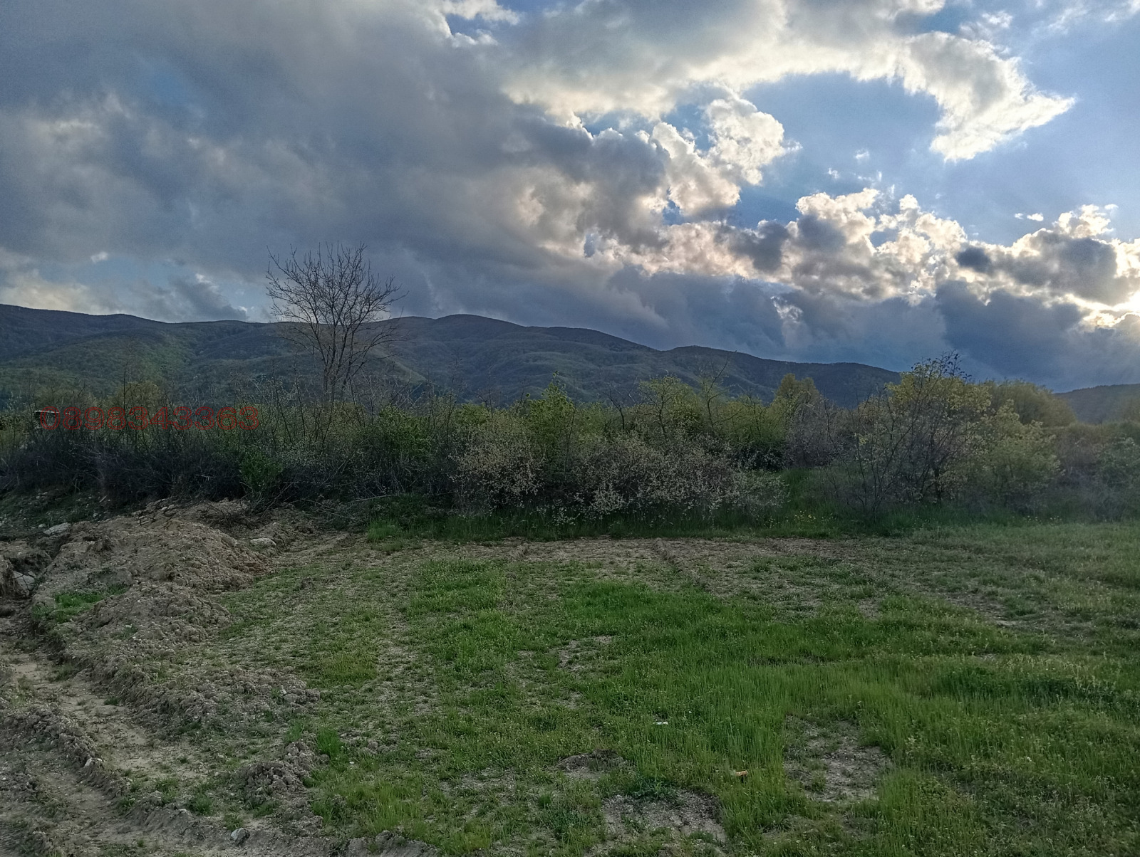 Продава ПАРЦЕЛ, с. Паталеница, област Пазарджик, снимка 8 - Парцели - 54197029