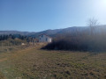Продава ПАРЦЕЛ, с. Паталеница, област Пазарджик, снимка 4