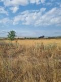Продава ПАРЦЕЛ, област Варна, гр. Игнатиево • 95000 € • 42069427 — Holmes.bg