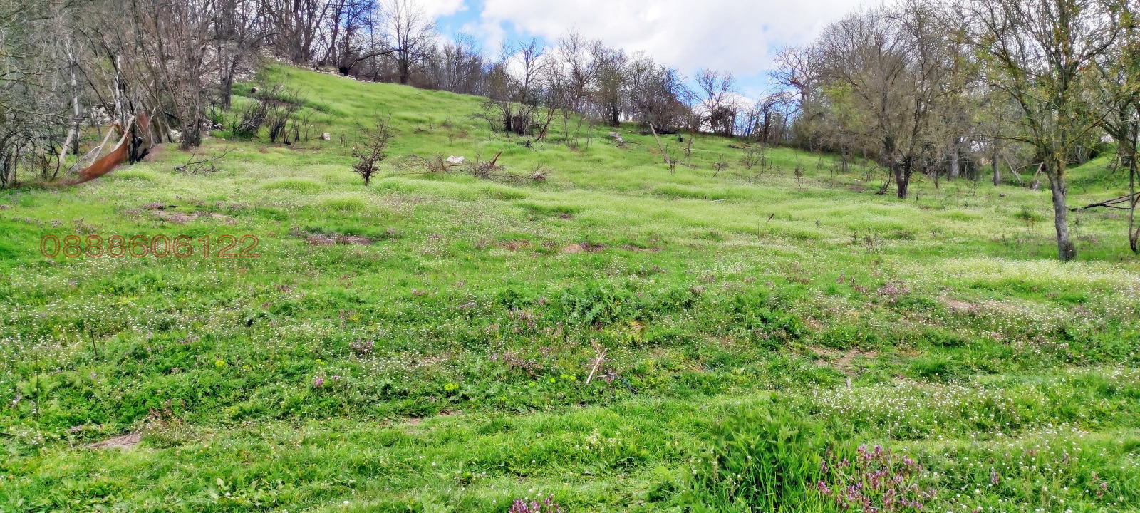 ������� ������ | Imot.bg � ����������� 3