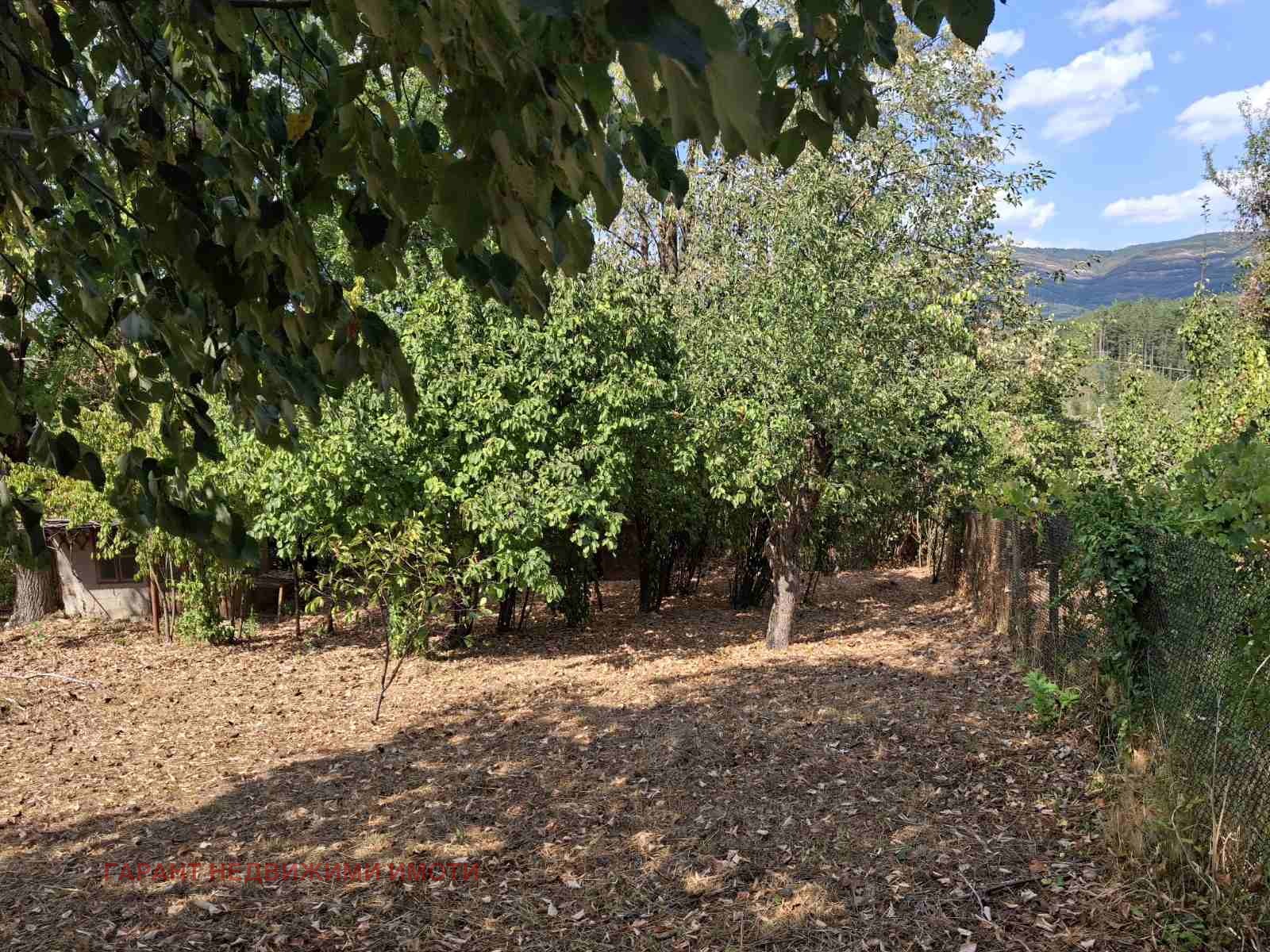 Продава ПАРЦЕЛ, с. Янковци, област Габрово, снимка 2 - Парцели - 56065896